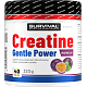 Creatine Monohydrate Gentle Power - 480 g, limeta-jahoda