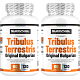 Tribulus Terrestris Original Bulgarian