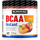 BCAA Instant - 300 g, čučoriedka