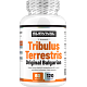 Tribulus Terrestris Original Bulgarian