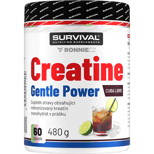 Creatine Monohydrate Gentle Power - 480 g, broskyňa
