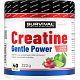 Creatine Monohydrate Gentle Power - 320 g, marakuja