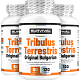 Tribulus Terrestris Original Bulgarian