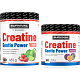 Creatine Monohydrate Gentle Power - 480 g, limeta-jahoda