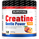 Creatine Monohydrate Gentle Power - 320 g, limeta-jahoda