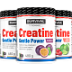 Creatine Monohydrate Gentle Power - 320 g, cola-citrón (cuba libre)